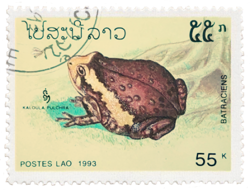 Stamp 1