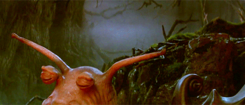 tumblr_nxu8734F9q1smlaa6o1_500.gif