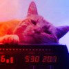 Goose the Flerkin from Captain Marvel